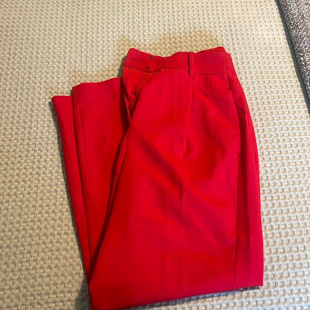 Brand new express work pants